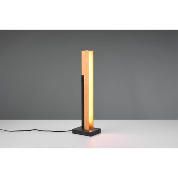 Lampe de table Trio Kerala LED Noir, 1 lumière