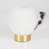 Lampe de table  Pintacura Laiton, 1 lumière