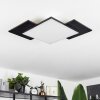 Plafonnier  Barullu LED Bois clair, Noir, Blanc, 1 lumière