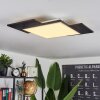 Plafonnier  Barullu LED Bois clair, Noir, Blanc, 1 lumière