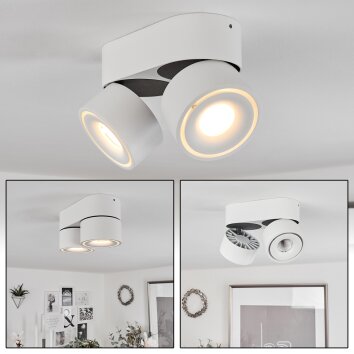 Plafonnier  Laonsana LED Noir, Blanc, 2 lumières