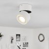 Plafonnier  Laonsana LED Noir, Blanc, 1 lumière