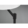 Lampe de table Trio Cassio Noir, 1 lumière