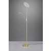 Lampadaire à vasque Trio Brantford LED Laiton, 1 lumière