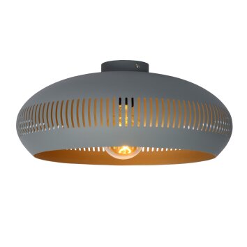 Plafonnier Lucide RAYCO Gris, 1 lumière