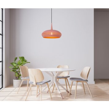 Suspension Lucide RAYCO Rose, 1 lumière