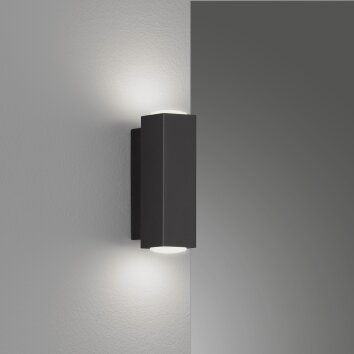 Applique murale Fischer & Honsel Carlo LED Noir, 2 lumières