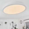 Plafonnier  Sani LED Blanc, 1 lumière, Télécommandes, Changeur de couleurs