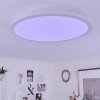 Plafonnier  Sani LED Blanc, 1 lumière, Télécommandes, Changeur de couleurs