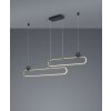 Suspension Trio Grant LED Laiton, Noir, 1 lumière