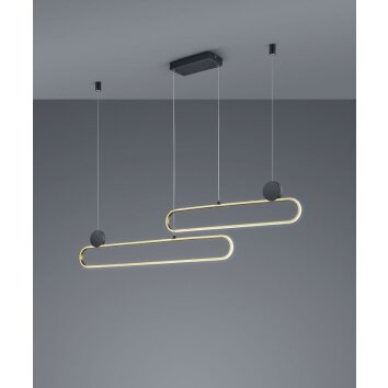 Suspension Trio Grant LED Laiton, Noir, 1 lumière