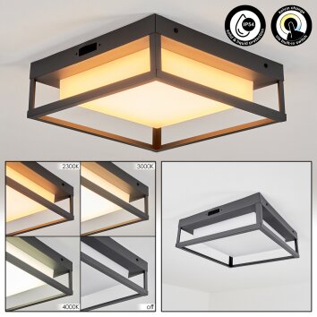 plafonnier extérieur  Nonza LED Anthracite, 1 lumière