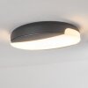 plafonnier extérieur  Joserand LED Anthracite, 1 lumière