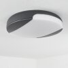 plafonnier extérieur  Joserand LED Anthracite, 1 lumière