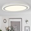 Plafonnier  Audrieu LED Blanc, 2 lumières