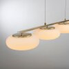 Suspension Paul Neuhaus Q-ETIENNE LED Laiton, 4 lumières, Télécommandes