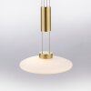 Suspension Paul Neuhaus LAUTADA LED Laiton, 1 lumière