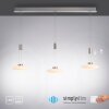 Suspension Paul Neuhaus LAUTADA LED Acier brossé, 3 lumières