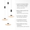 Suspension Paul Neuhaus LAUTADA LED Noir, 3 lumières