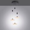 Suspension Paul Neuhaus LAUTADA LED Noir, 3 lumières