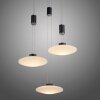 Suspension Paul Neuhaus LAUTADA LED Noir, 3 lumières