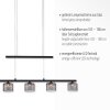 Suspension Paul Neuhaus HYDRA LED Noir, 5 lumières