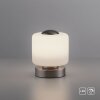 Lampe de table Paul Neuhaus BOTA LED Acier brossé, 1 lumière