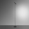 Lampadaire Paul Neuhaus PURE-TUTUA LED Noir, 1 lumière