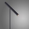 Lampe de table Paul Neuhaus PURE-TUTUA LED Noir, 1 lumière