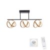 Plafonnier Paul Neuhaus LOOP LED Laiton, Noir, 3 lumières, Télécommandes