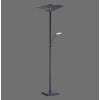 Lampadaire à vasque Paul Neuhaus ARTUR LED Anthracite, 1 lumière