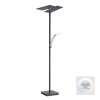 Lampadaire à vasque Paul Neuhaus ARTUR LED Anthracite, 1 lumière