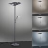 Lampadaire à vasque Paul Neuhaus ARTUR LED Anthracite, 1 lumière