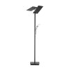 Lampadaire à vasque Paul Neuhaus ARTUR LED Anthracite, 1 lumière