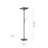 Lampadaire à vasque Paul Neuhaus ARTUR LED Anthracite, 1 lumière