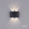 Applique murale Paul Neuhaus CARLO LED Anthracite, 4 lumières