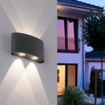 Applique murale Paul Neuhaus CARLO LED Anthracite, 4 lumières