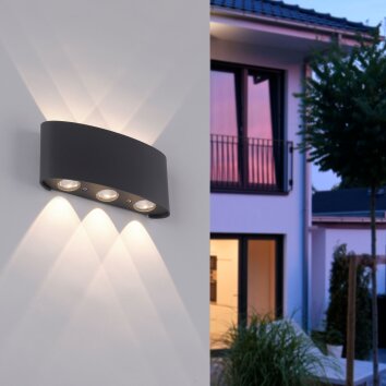 Applique murale Paul Neuhaus CARLO LED Anthracite, 6 lumières