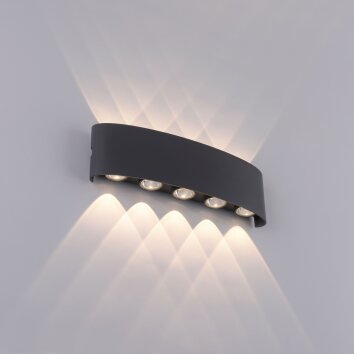 Applique murale Paul Neuhaus CARLO LED Anthracite, 10 lumières