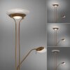 Lampadaire à vasque Leuchten-Direkt ZAHARA LED Vieux laiton, 2 lumières