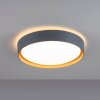 Plafonnier Leuchten-Direkt EMILIA LED Gris, Écru, 1 lumière