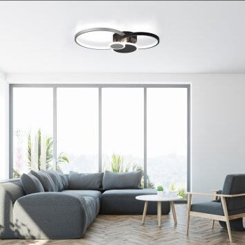 Plafonnier Leuchten-Direkt PAPILON LED Noir, 1 lumière