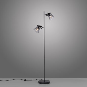 Lampadaire Leuchten-Direkt TINULA Noir, 2 lumières