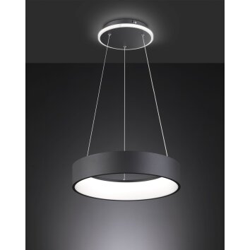 Suspension Wofi-Leuchten SHAY LED Noir, 1 lumière