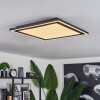 Plafonnier  Audrieu LED Noir, 2 lumières