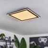 Plafonnier  Audrieu LED Noir, 2 lumières