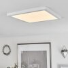 Plafonnier  Canditas LED Blanc, 1 lumière