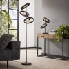 Lampadaire  Hover Anthracite, 3 lumières