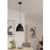 Suspension Eglo CAMASCA Noir, 1 lumière