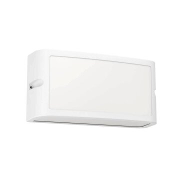 Applique murale d'extérieur Eglo CAMARDA LED Blanc, 1 lumière